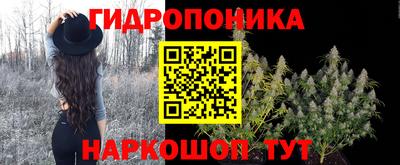 крисы Усть-Илимск