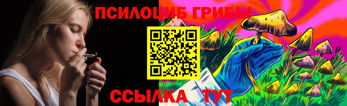 Ногинск  Псилоцибиновые грибы Magic Shrooms  Вход с VPN 