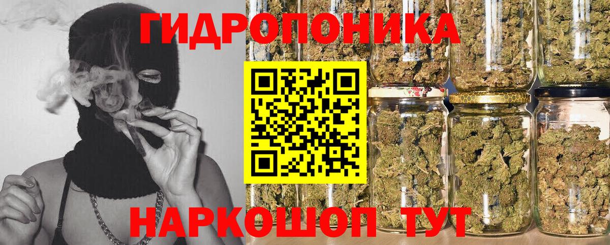 Каннабис сатива  Бошки Шишки марихуана  Бошки Шишки THC 21%  Ногинск  Вход с VPN 